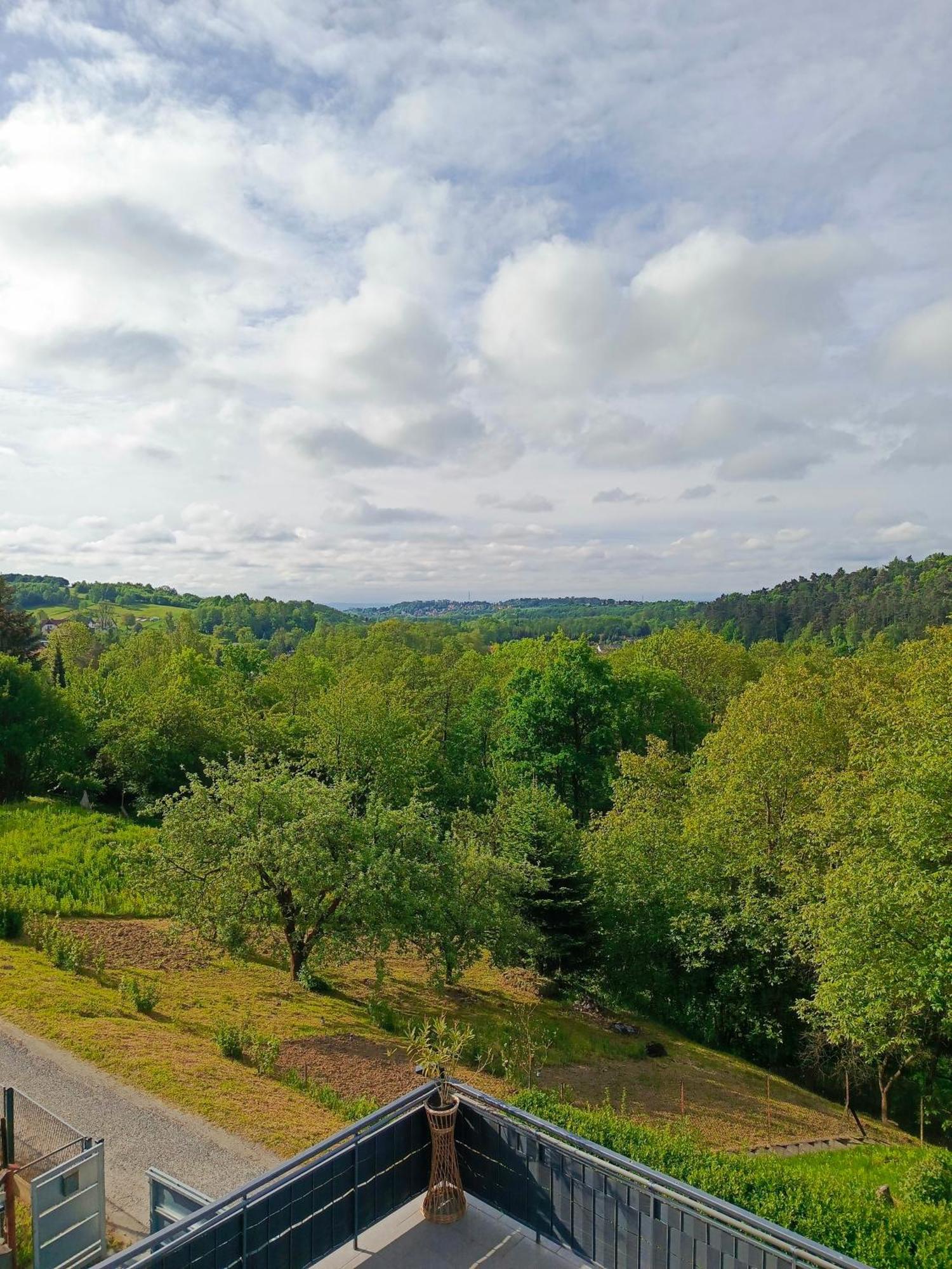 Noclegi U Ewusi 2 Januszowice  Kültér fotó